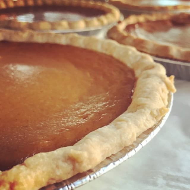 9" Vegan Pumpkin - Whole (T).