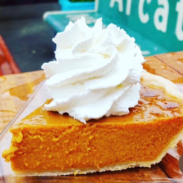9" Vegan Pumpkin - Whole (T).